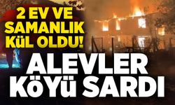 Alevler köyü sardı: 2 ev ve samanlık kül oldu!