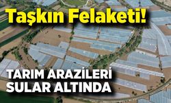 Amasya’da Taşkın Felaketi: 5 Bin 850 Dekar Zarar Gördü