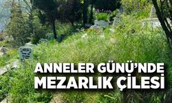 Anneler Günü’nde Mezarlık Çilesi: Vatandaşlar Bakımsızlığa İsyan Etti!