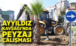 Zonguldak’ta kavşaklara palmiye dokunuşu