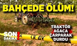 Tarlaya çalışmaya gitti, cansız bedeni bulundu