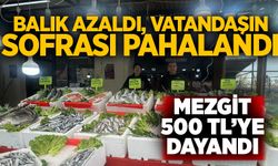 Balık azaldı, vatandaşın sofrası pahalandı: Mezgit 500 TL’ye dayandı