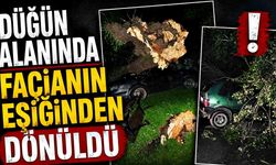 Bartın'da şiddetli fırtına: ağaçlar Otomobillerin üzerine devrildi