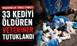 Başsavcılık itiraz etmişti, 33 kediyi öldüren veteriner tutuklandı