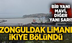 Zonguldak limanı ikiye bölündü: Bir yanı mavi, diğer yanı sarı!