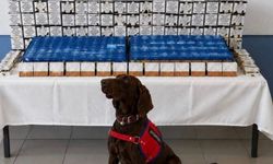 Bolu’da kaçakçılık operasyonu: 2 gözaltı