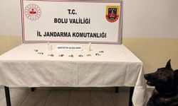 Bolu’da Uyuşturucu Operasyonu: 1 Şüpheli Tutuklandı