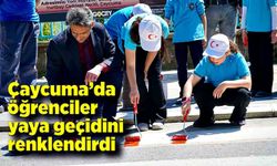 Çaycuma’da öğrenciler yaya geçidini renklendirdi