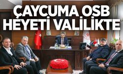 Çaycuma OSB heyeti valilikte
