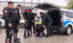 Ehliyetsiz sürücü zorluk çıkarınca biber gazı yedi
