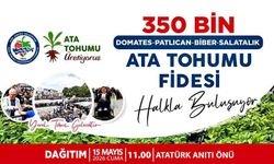 Ereğli’de 350 bin ata tohumu fidesi dağıtımı yapılacak