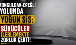 Zonguldak-Ereğli yolunda yoğun sis: Sürücüler ilerlemekte zorluk çekti