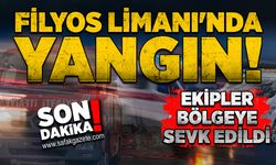 Filyos Limanı'nda yangın! Ekipler bölgeye sevk edildi