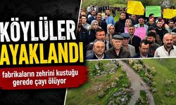Fabrikaların zehrini kustuğu Gerede Çayı ölüyor: Köylüler ayaklandı