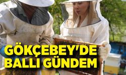 Gökçebey'de Ballı Gündem
