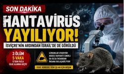 Dünyada Hantavirüs Alarmı Büyüyor