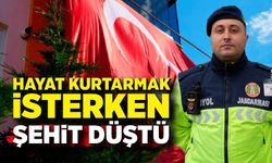 Görev başında şehit oldu