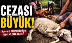 Cezası büyük!