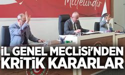 İl Genel Meclisi'nden kritik kararlar: Ereğli ve Alaplı için yol ve mülkiyet adımı