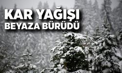 Kar yağışı beyaza bürüdü
