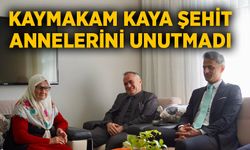 Kaymakam Kaya şehit annelerini unutmadı