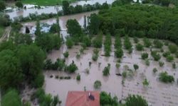 Tokat'ta Kelkit Çayı taştı, köyü su bastı