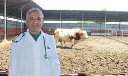"Kesimden önceki 6 saat yem verilmemeli, su tüketmelerine izin verilmelidir"
