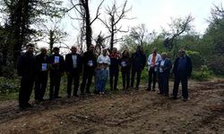 Kestane Ormanlarında Biyolojik Mücadele Sürüyor