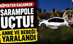 Köpeğe çarpmamak isterken şarampole uçtu