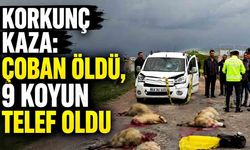 Koyun sürüsüne dalan araç çobanı hayattan kopardı