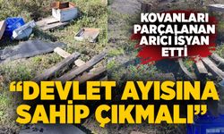 Kovanları parçalanan arıcı isyan etti: “Devlet ayısına sahip çıkmalı”