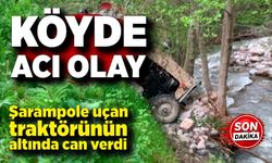 Devrilen traktörün altında kalan sürücü hayatını kaybetti