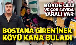 'İneğin bostanıma girdi' kavgası kanlı bitti