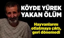 Köyde yürek yakan ölüm!  Hayvanlarını otlatmaya çıktı, geri dönemedi