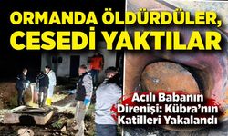 Kızını Arayan Babanın Mücadelesi Cinayeti Çözdü