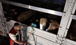 Kurban Bayramı öncesi İstanbul'da sevk noktalarında yoğun mesai