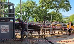 Kurban kesiminde yine çiftlikler tercih edildi