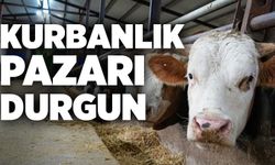 Kurbanlık pazarı durgun