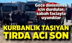 Gece dinlenmek için durdular, sabah faciayla uyandılar