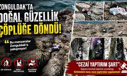 Zonguldak’ta Doğal Güzellik Çöplüğe döndü! "Cezai Yaptırım Şart"