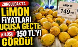 Zonguldak’ta Limon Fiyatları Uçuşa Geçti: Kilosu 150 TL’yi Gördü!