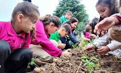 Minik Eller Ata Tohumlarını Toprakla Buluşturdu