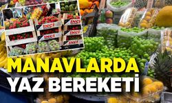 Zonguldak'ta yaz meyveleri tezgâhları şenlendirdi