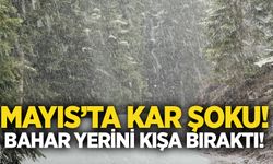 Mayıs’ta Kar Şoku! Bahar Yerini Kışa Bıraktı!