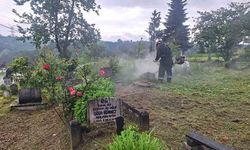 Mezarlıklar ve Parklar Bayrama Hazırlandı