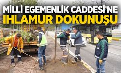 Milli Egemenlik Caddesi’ne ıhlamur dokunuşu