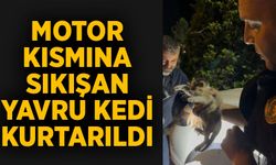 Motor Kısmına Sıkışan Yavru Kedi Kurtarıldı