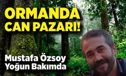 Ormanda Can Pazarı! Mustafa Özsoy Yoğun Bakımda