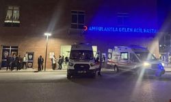 Niğde'de silahlı kavga: 1 yaralı