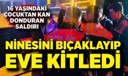 Aile içi dehşet: Torun ninesini bıçakla yaraladı